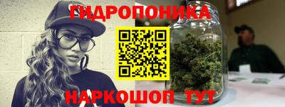 спиды Кимры