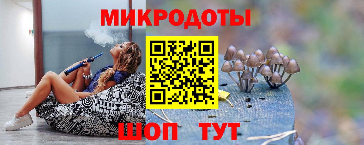 Заводоуковск  Галлюциногенные грибы прущие грибы  Вход с VPN 